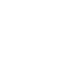 VIC'S